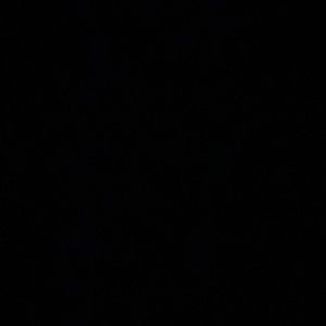 Meet your Posher, Jaden